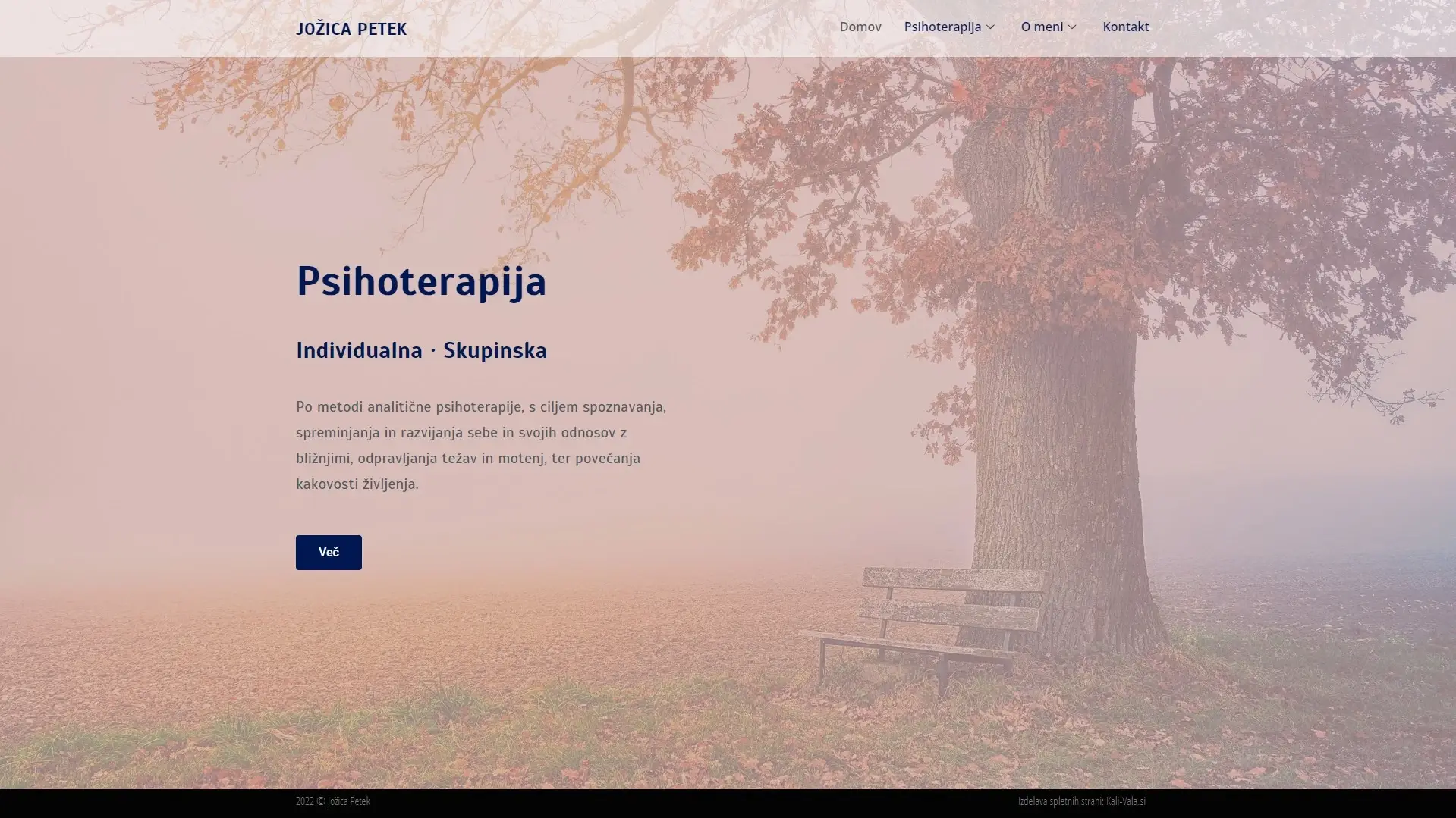 Izdelava spletne strani za psihoterapevtko